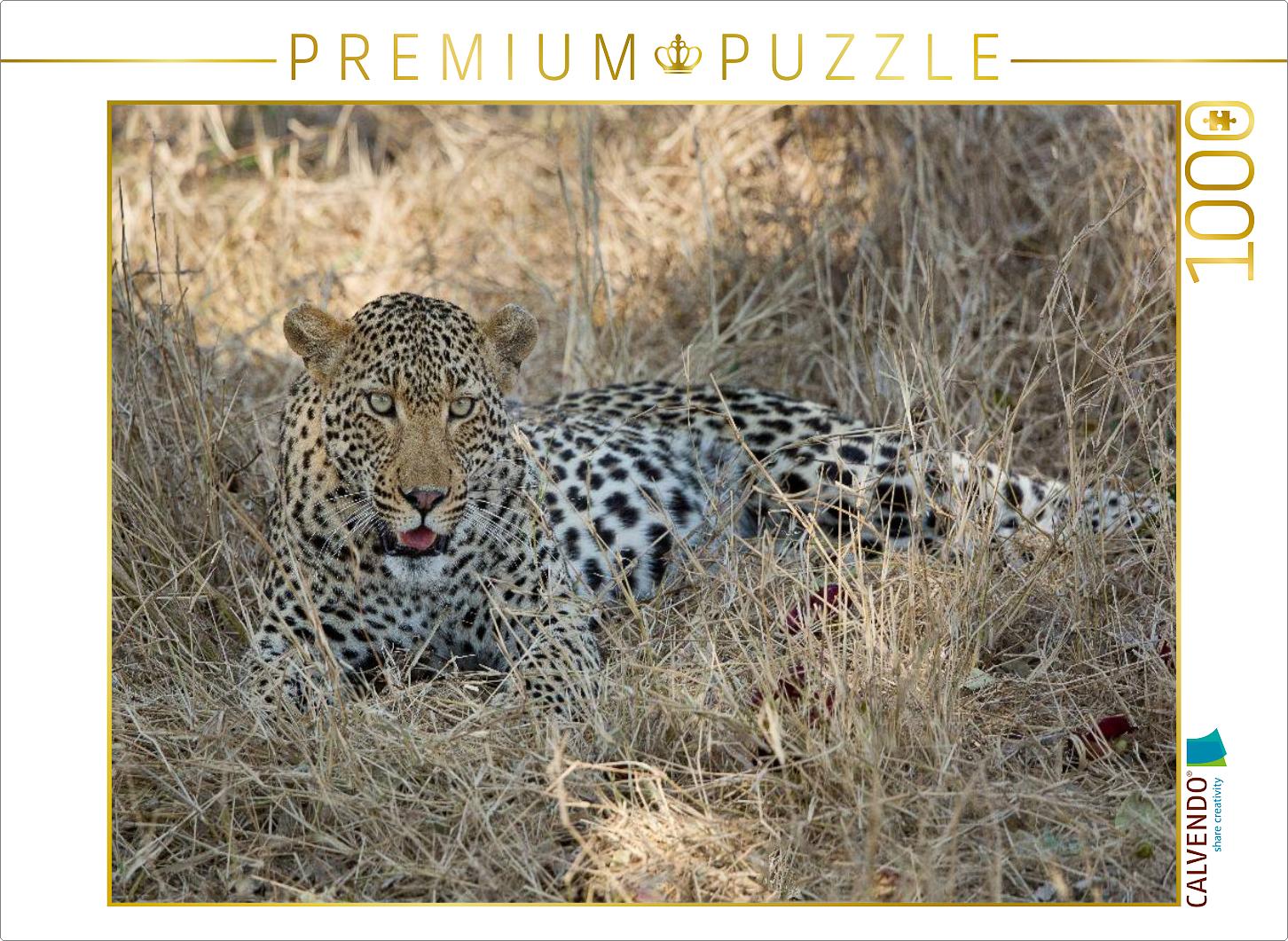 Leopard