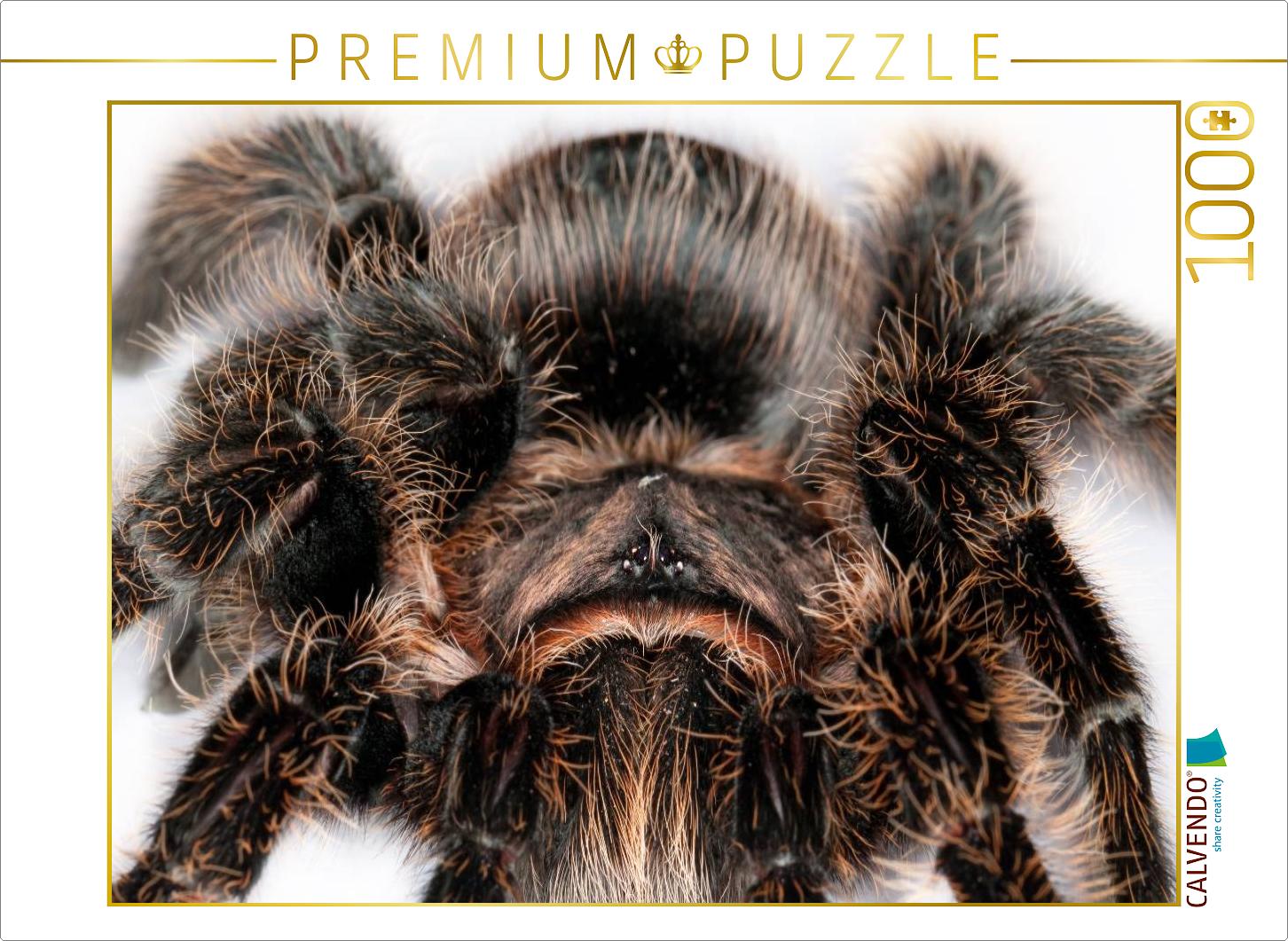 Vogelspinne