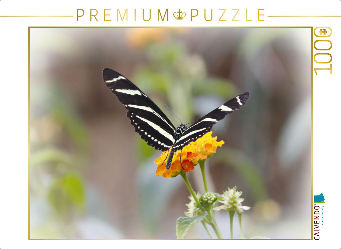 Zebrafalter (Heliconius charitonius)