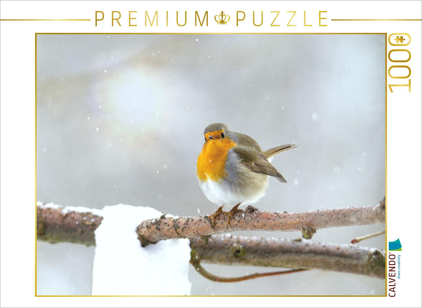 Rotkehlchen im Winter