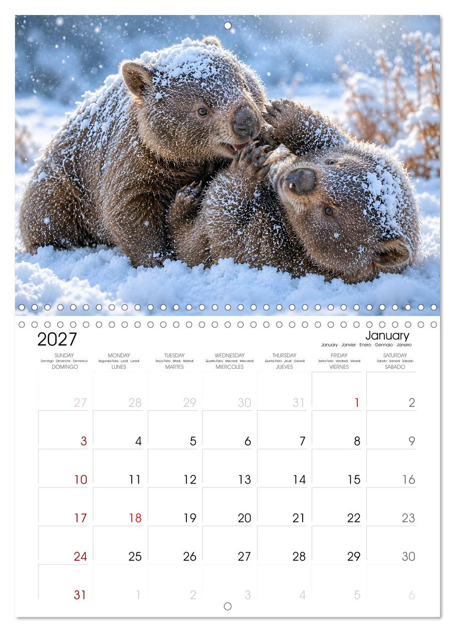Cute Wombats - The Fluffy Marsupials of Australia