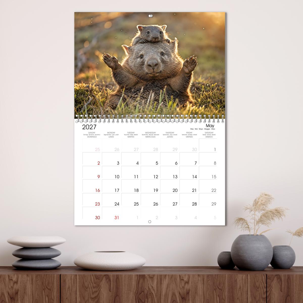Cute Wombats - The Fluffy Marsupials of Australia
