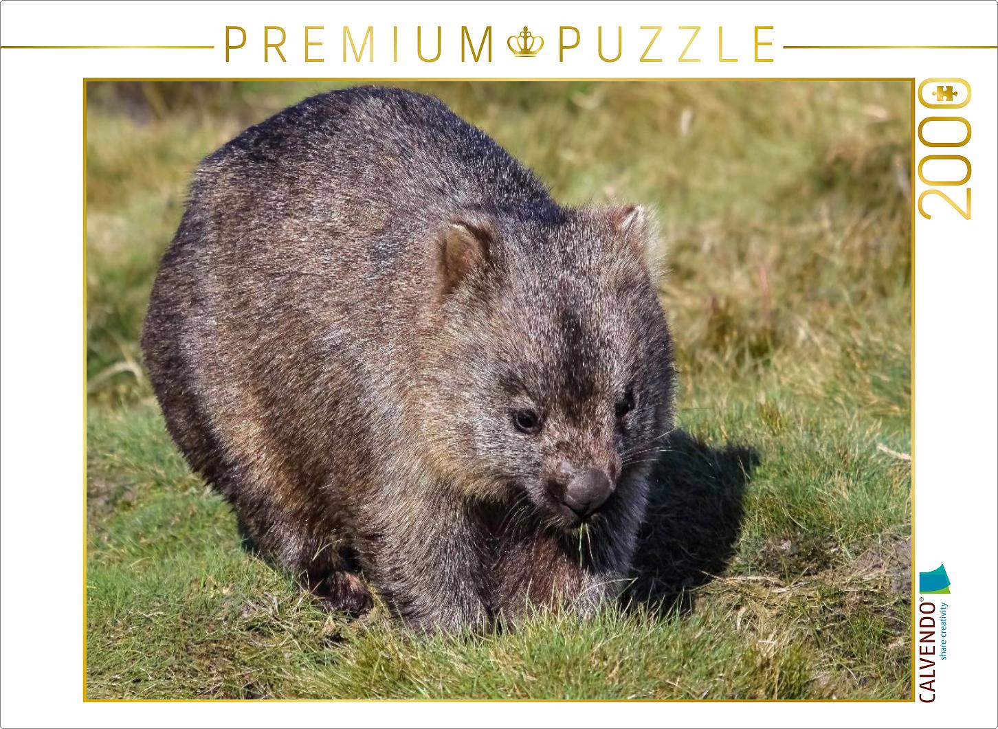 Nacktnasenwombat (Vombatus Ursinus)