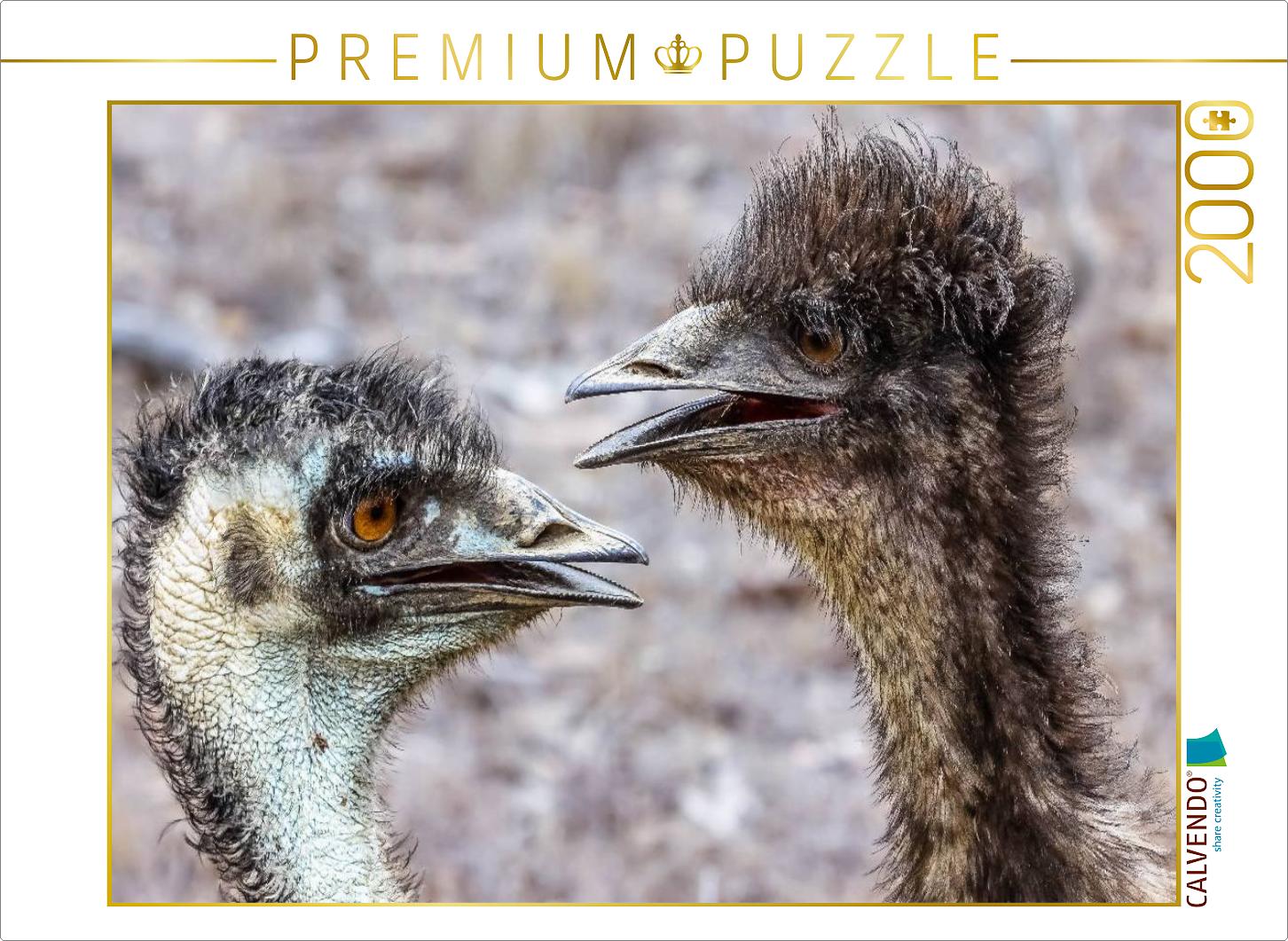 Emus in den  Mareeba Wetlands