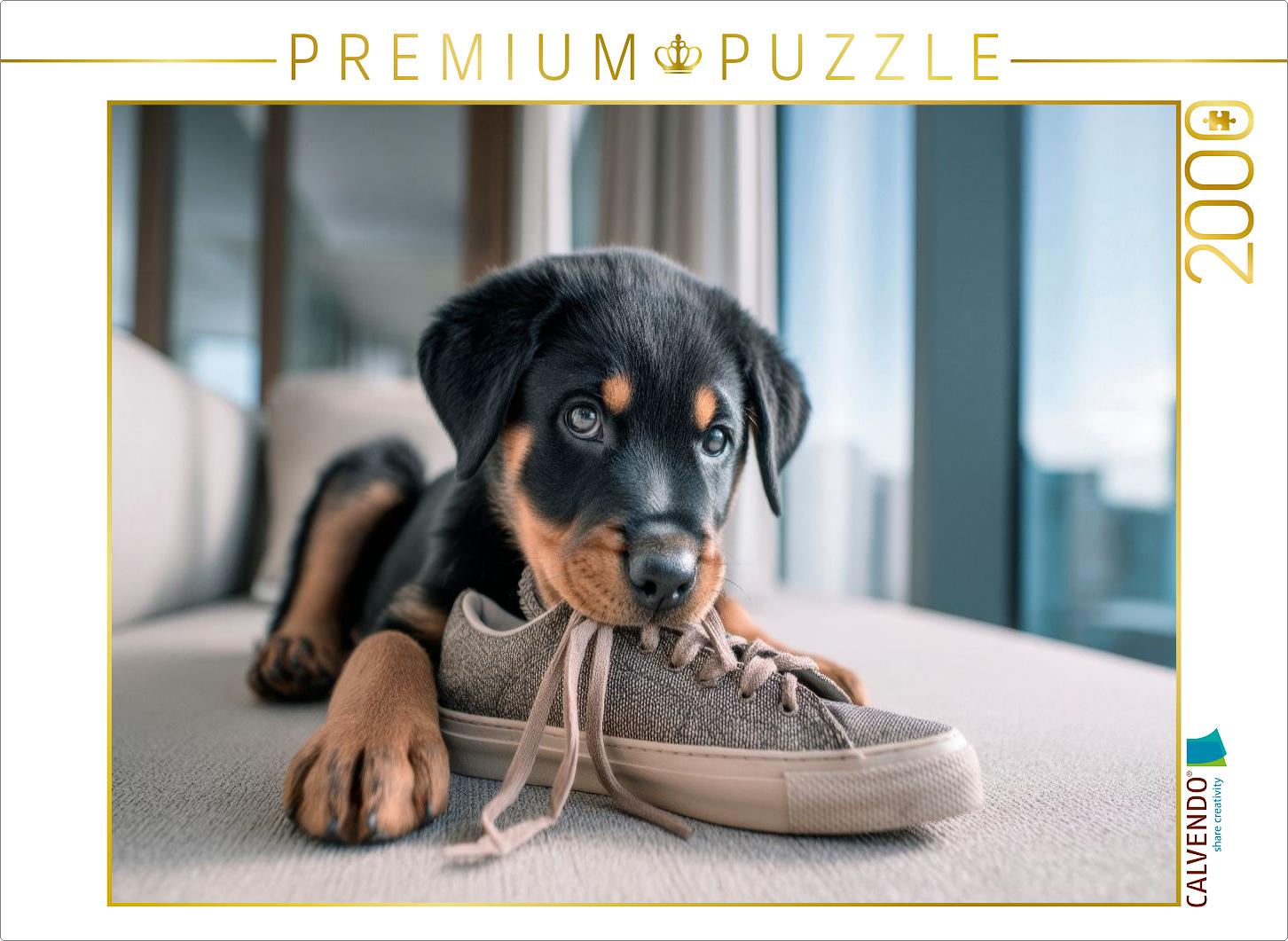 Rottweiler - Kleiner Schuhdieb