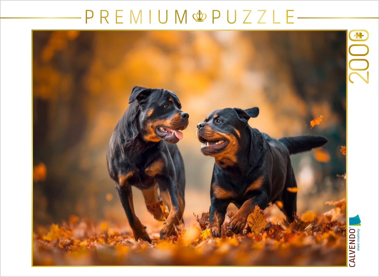 Rottweiler - Herbstfreude auf vier Pfoten