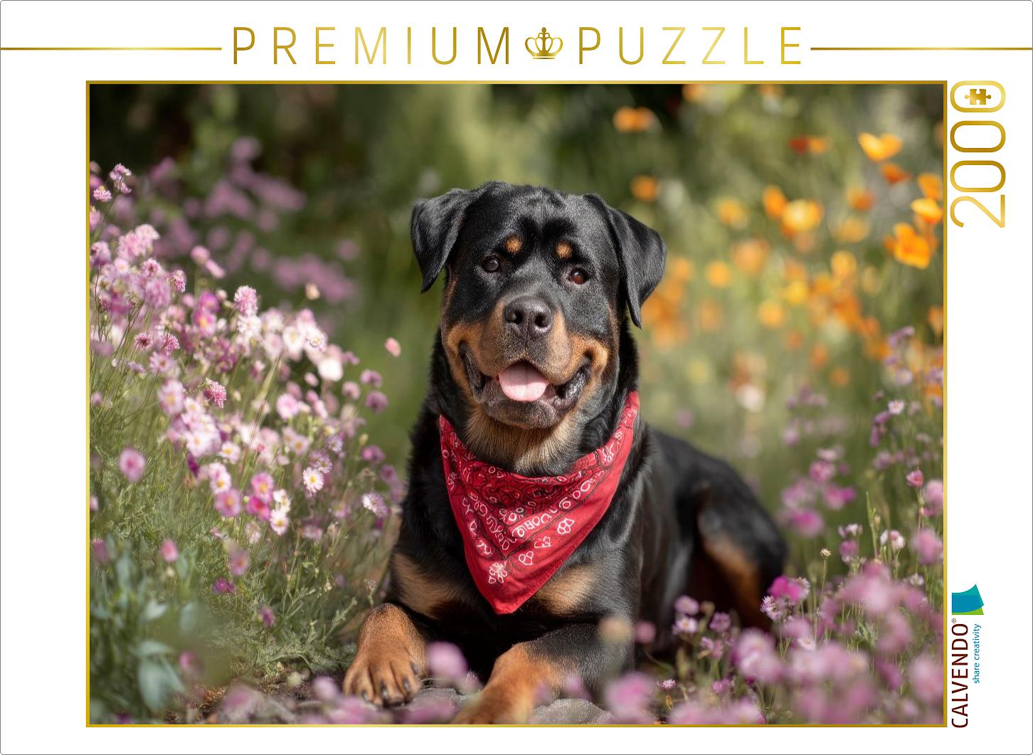 Rottweiler - Farbenfroher Hundemoment