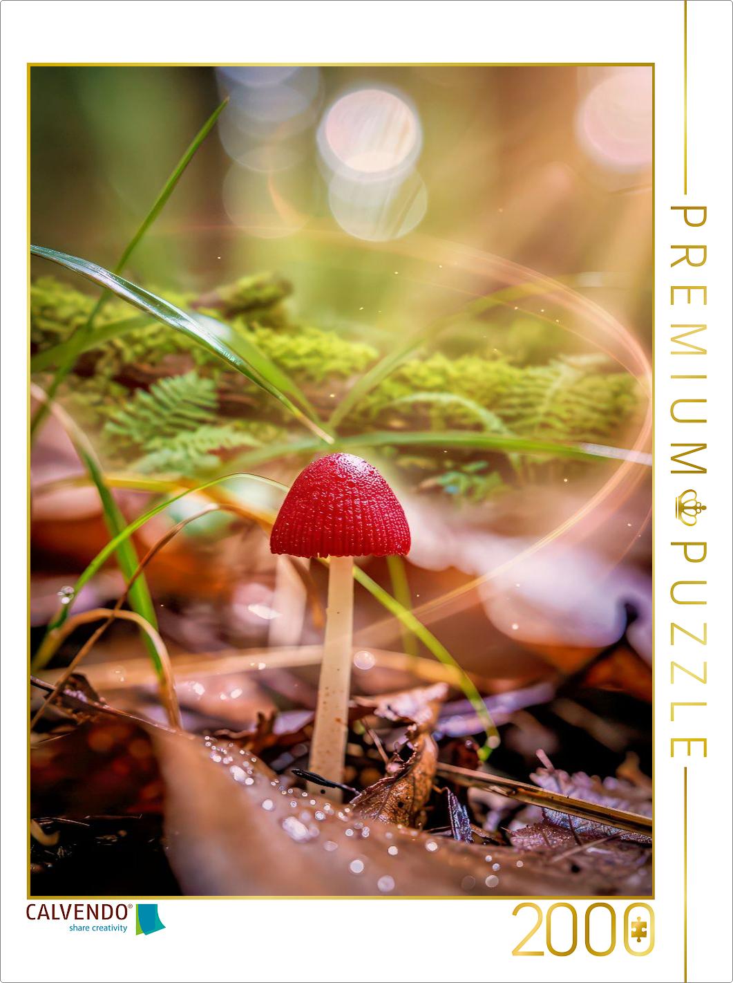 Erdige Eleganz, Natur in ihrer feinsten Form.