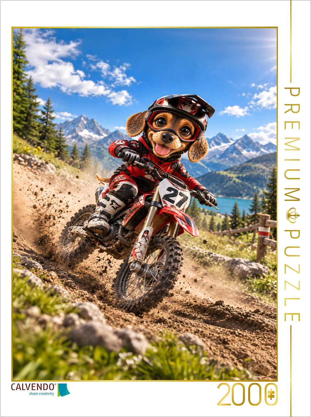 Dackel Lui – Motocross Racer