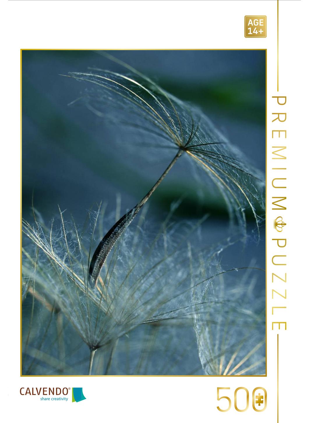 Wiesenbocksbart