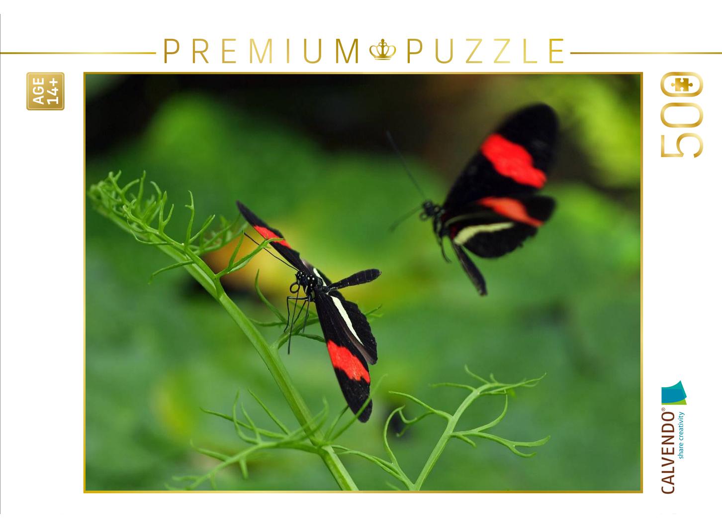 Heliconius-Falter