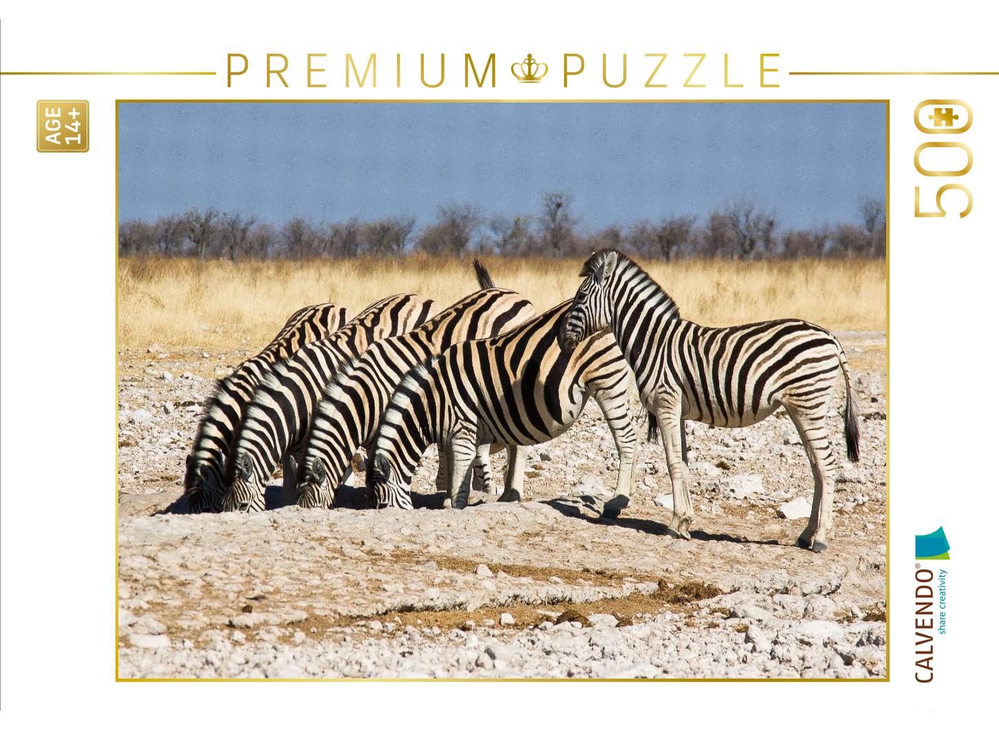 Burchell Zebras an einem Wasserloch im Etosha National Park