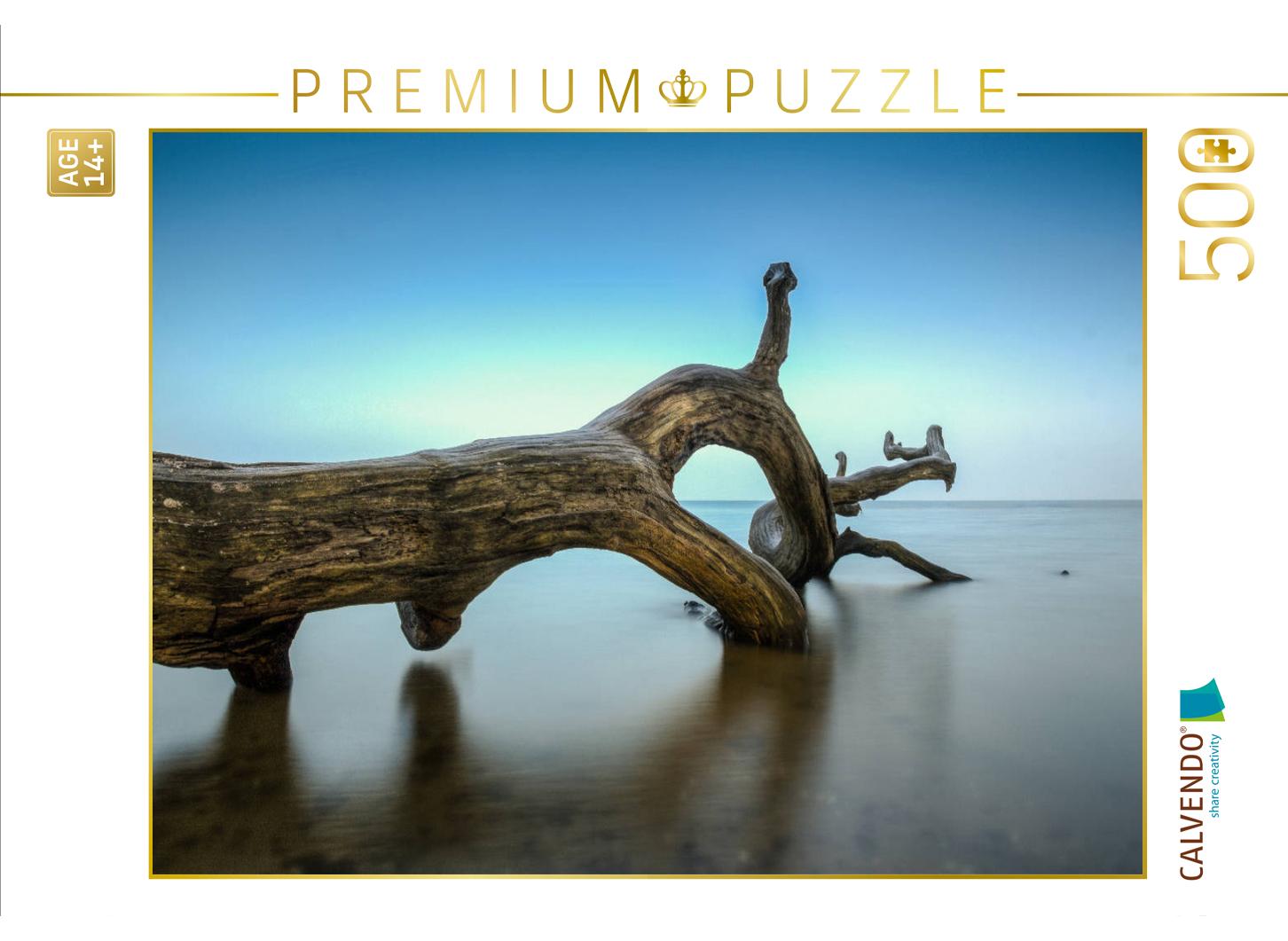 Alter Baum am Strand bei Loissin
