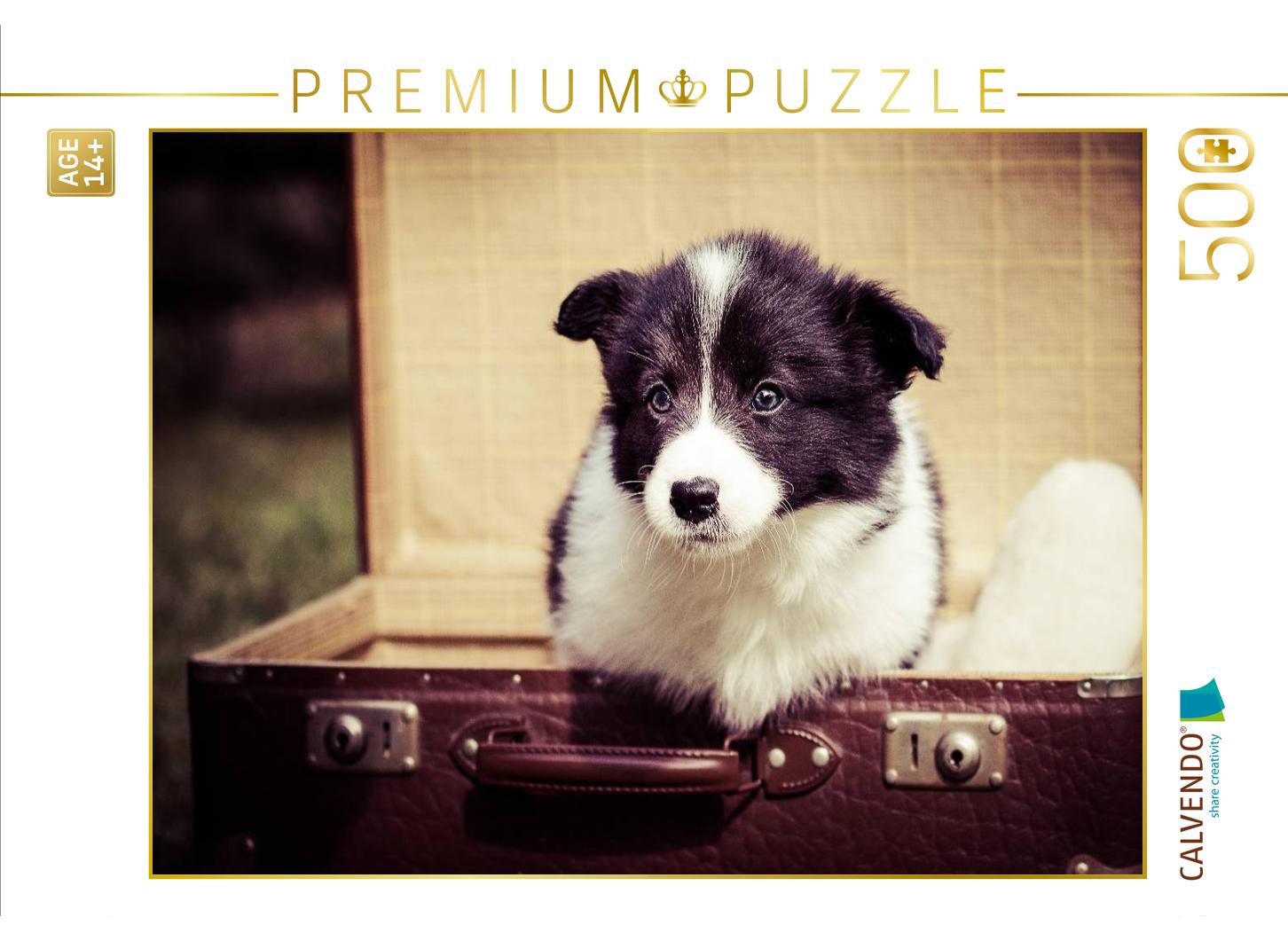 Ein Motiv aus dem Kalender Pfotastische Border Collie Welpen