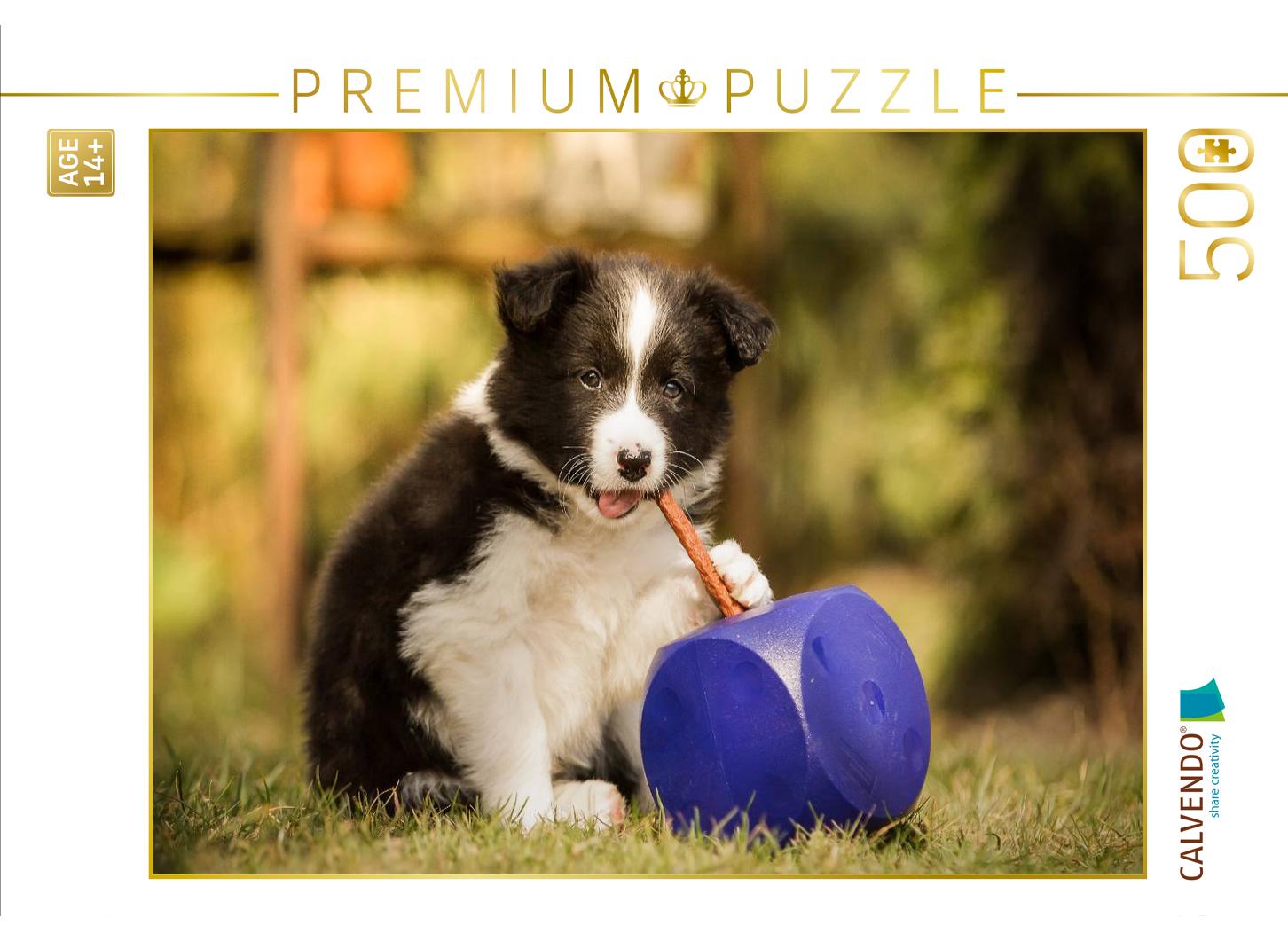 Ein Motiv aus dem Kalender Pfotastische Border Collie Welpen