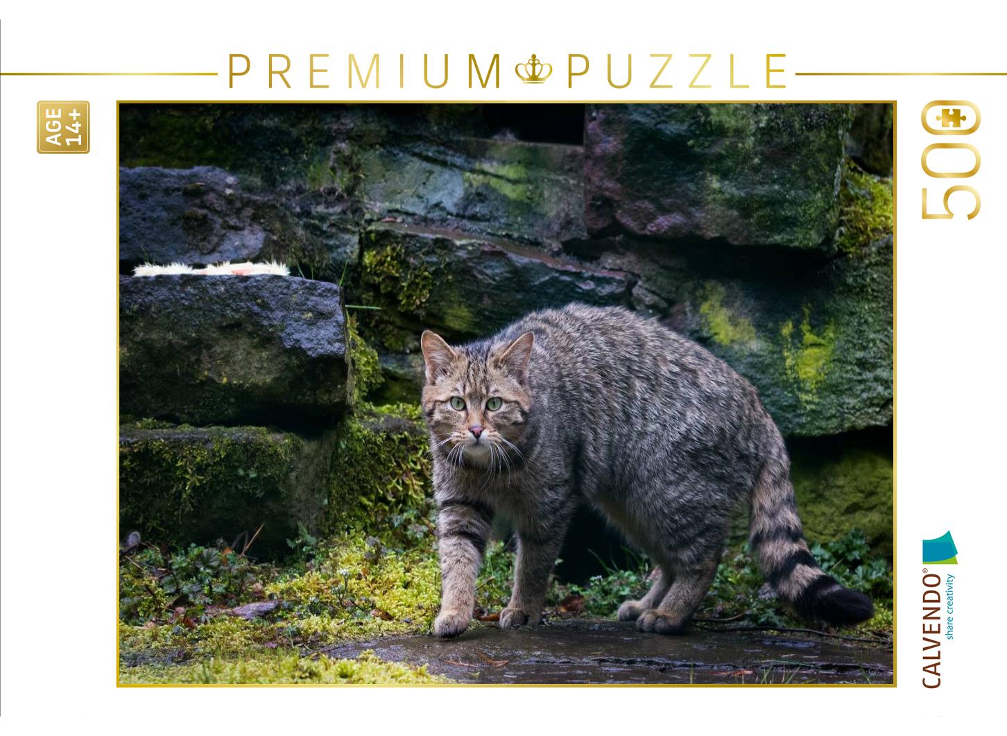 Wildkatze