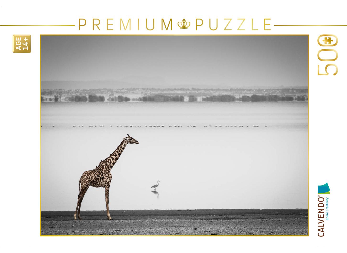Massai-Giraffe, Lake Manyara National Park