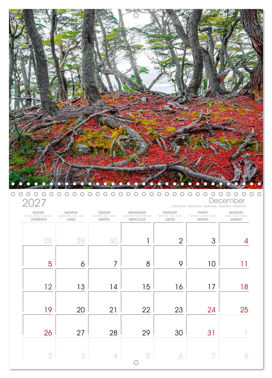 Patagonien, Tierra del Fuego: Am Rand der Welt