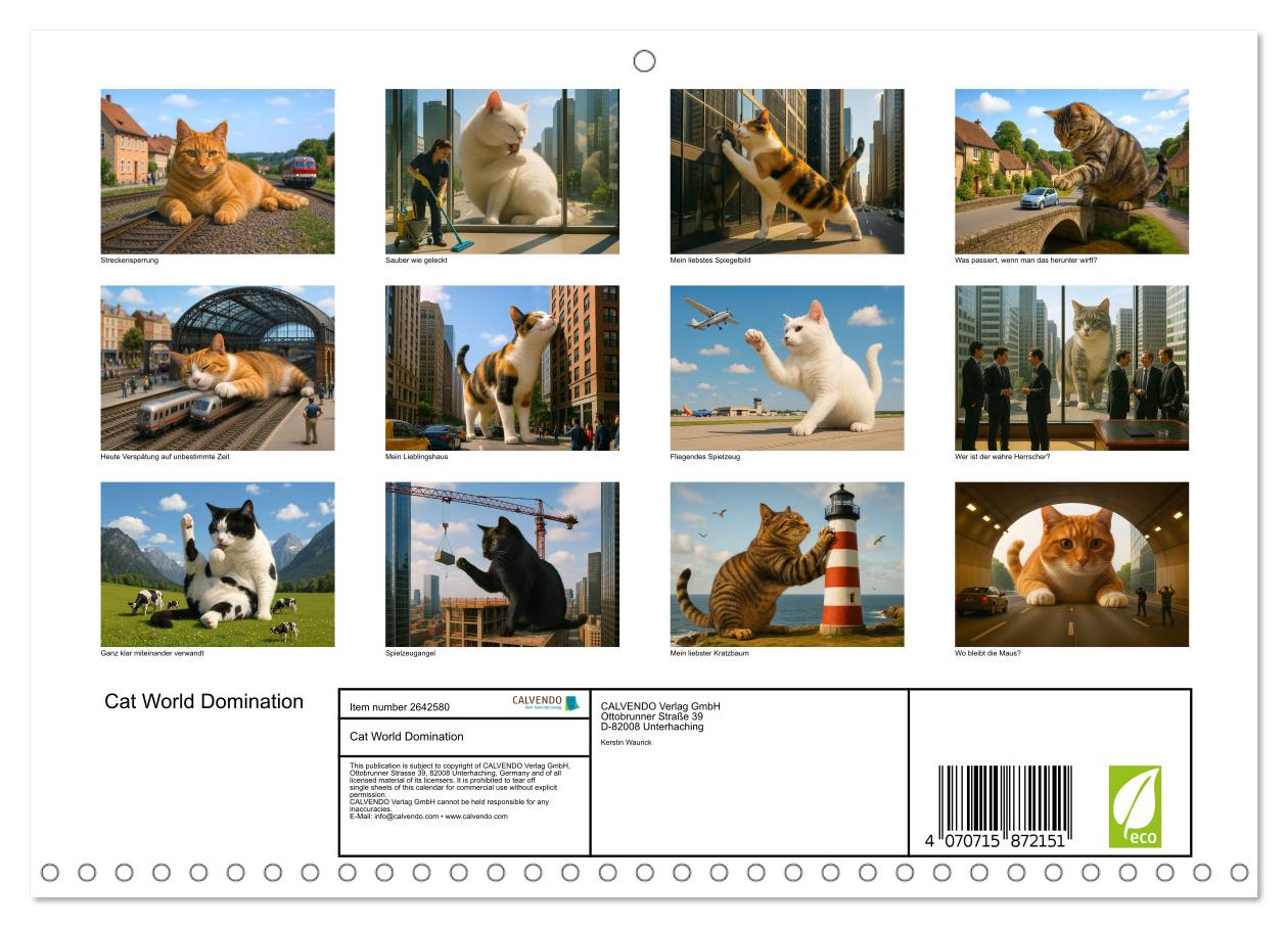 Katzen Weltherrschaft