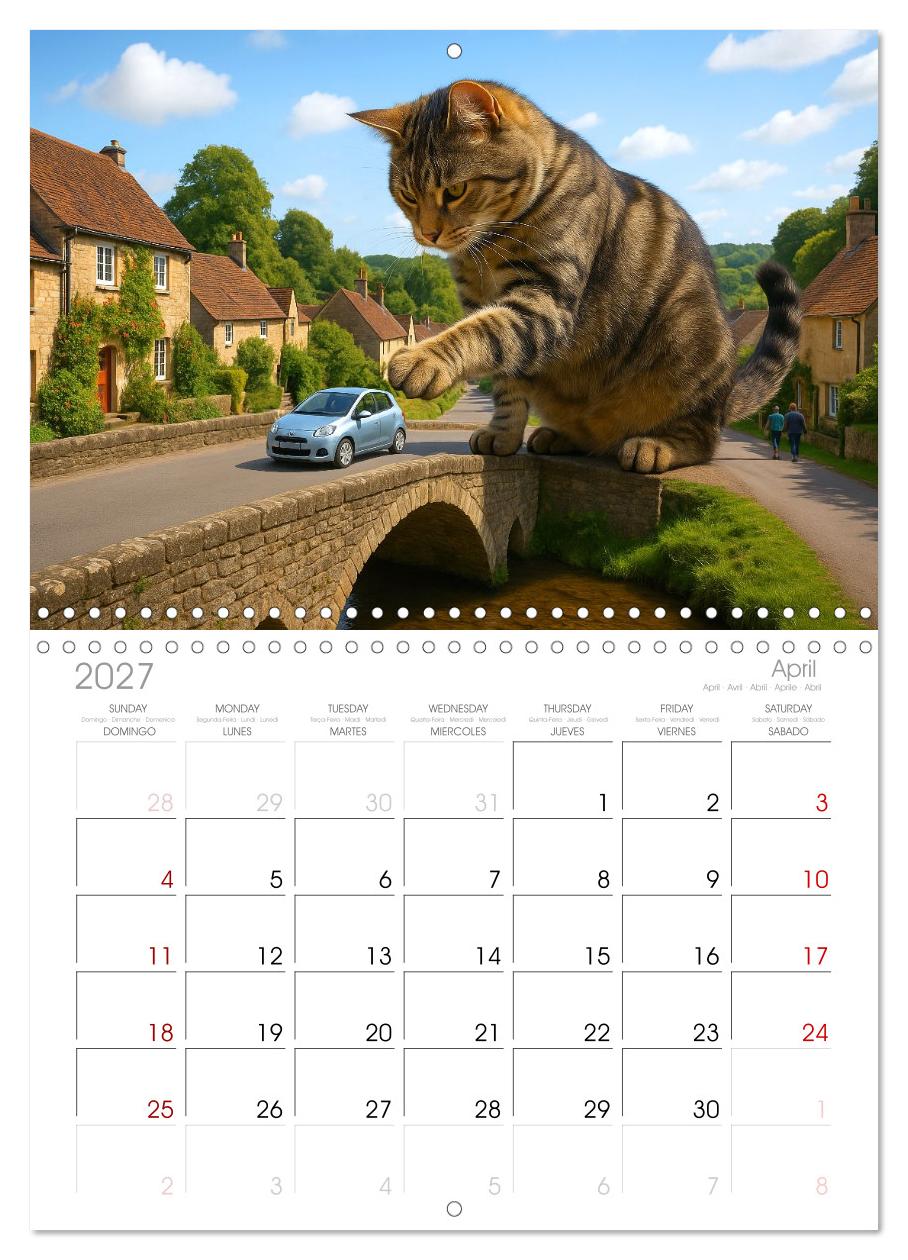 Katzen Weltherrschaft