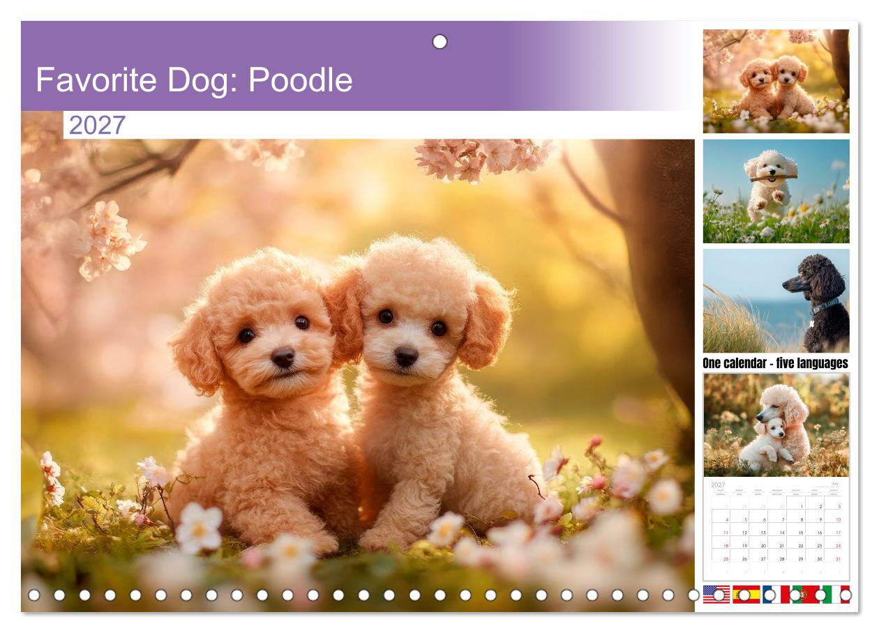 Lieblingshund Pudel
