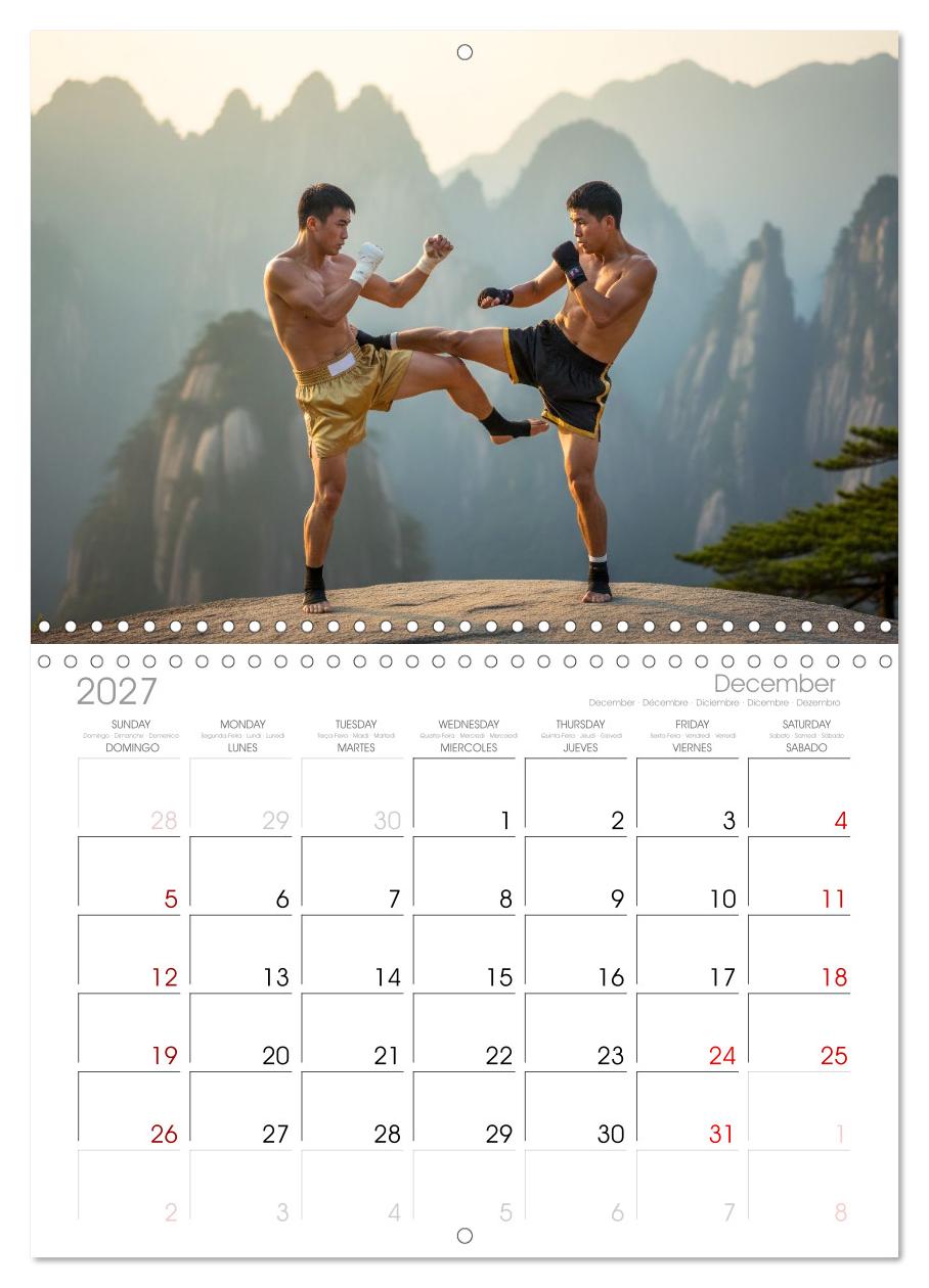 Martial Arts - Kampf und Eleganz