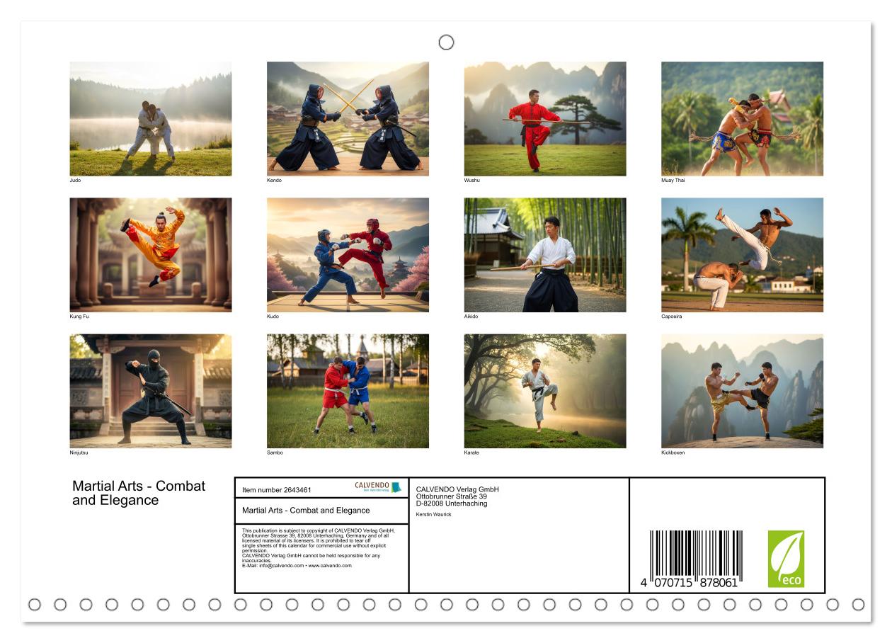 Martial Arts - Kampf und Eleganz