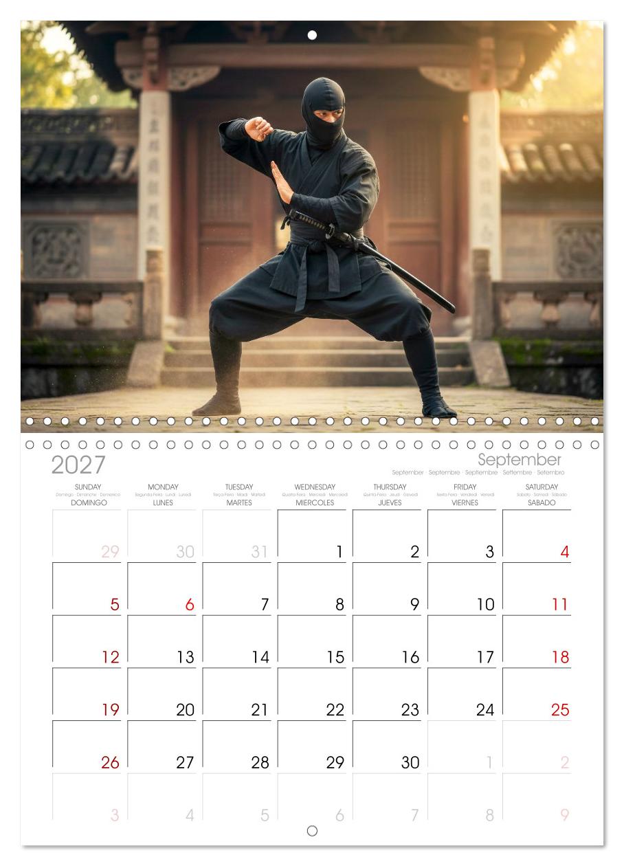 Martial Arts - Kampf und Eleganz