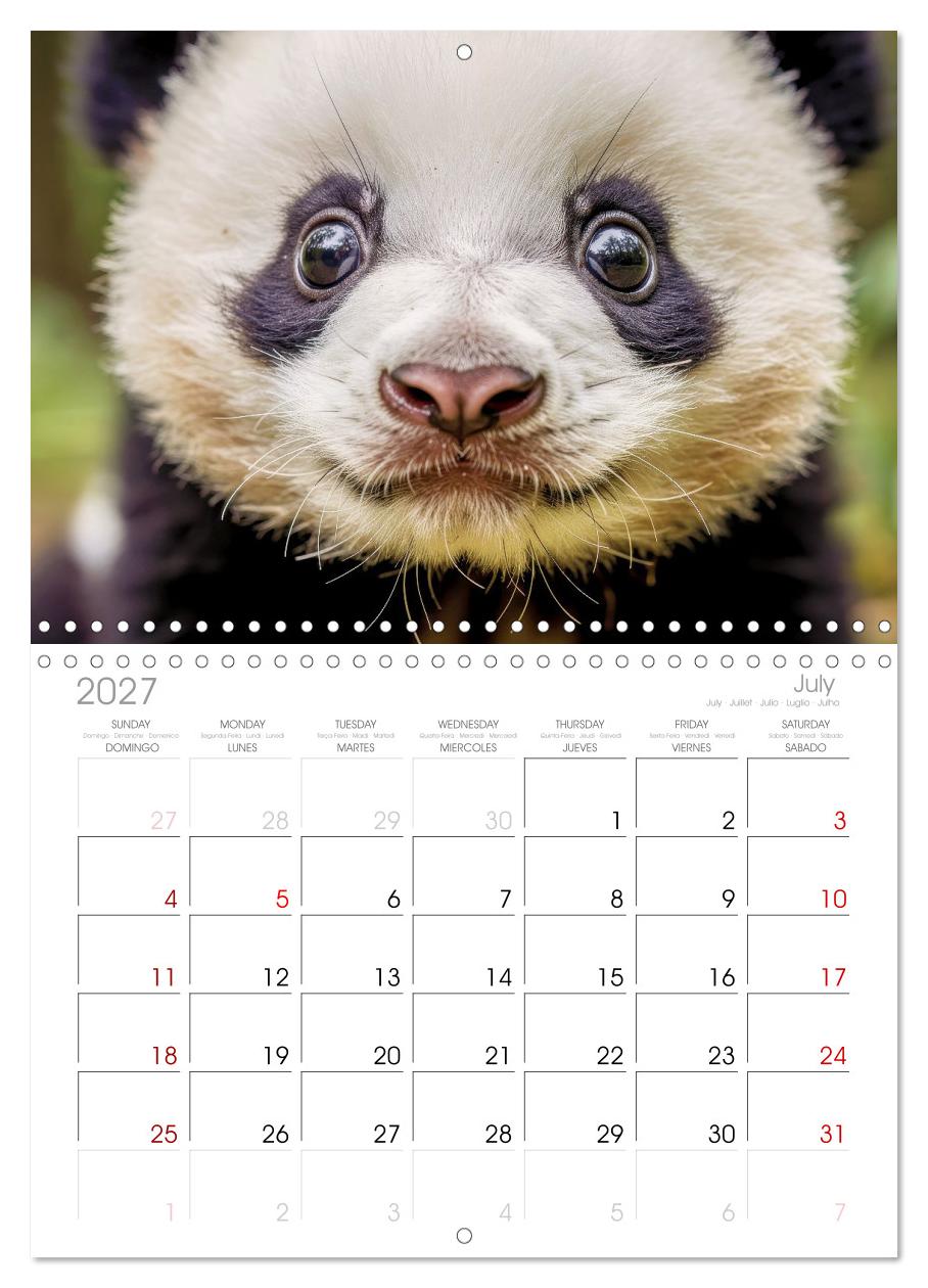 Babys der Wildnis