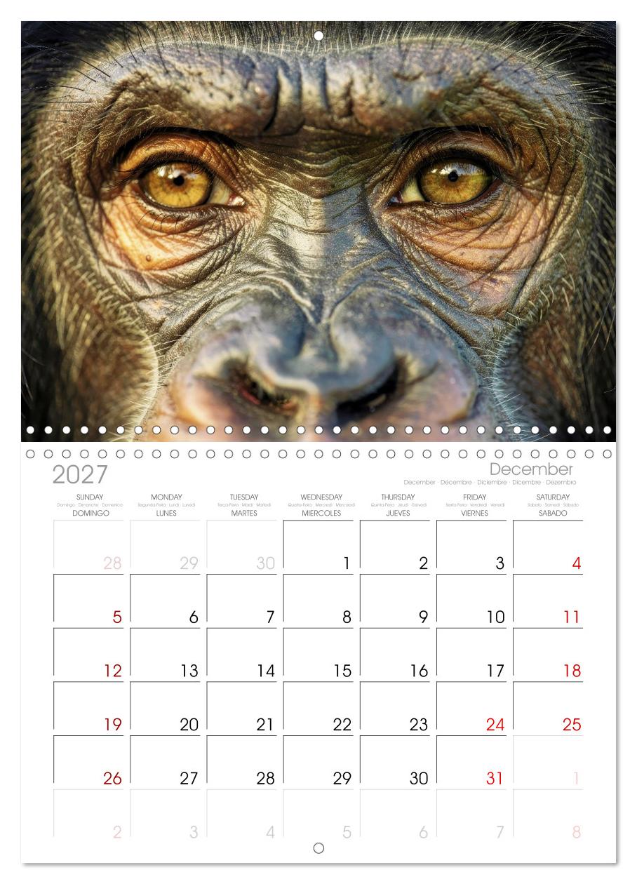Die Augen der Wildnis