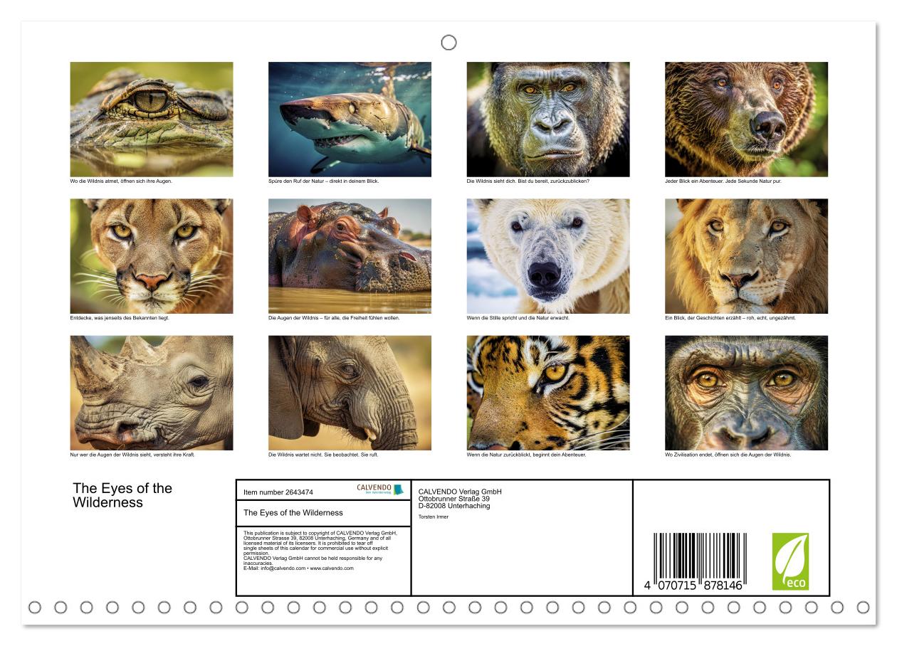 Die Augen der Wildnis