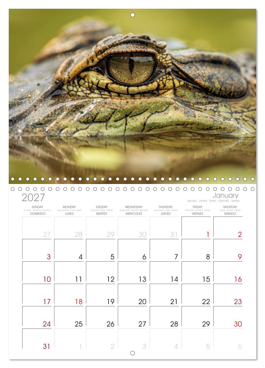 Die Augen der Wildnis