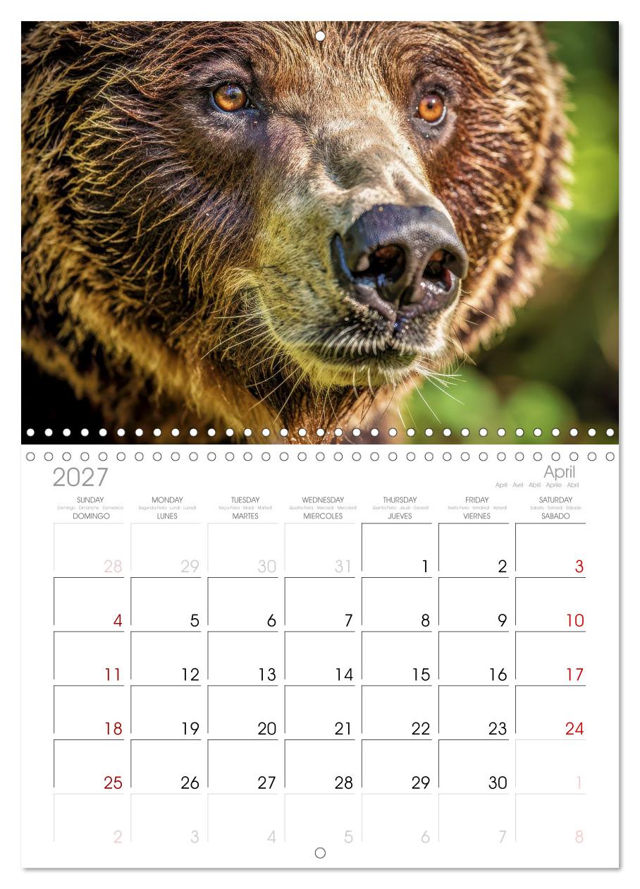 Die Augen der Wildnis