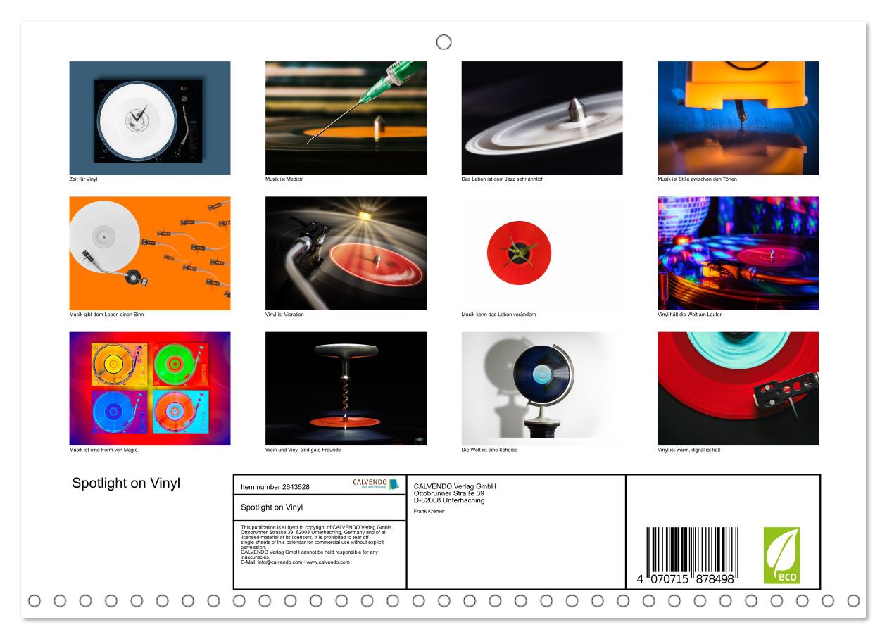 Vinyl im Fokus