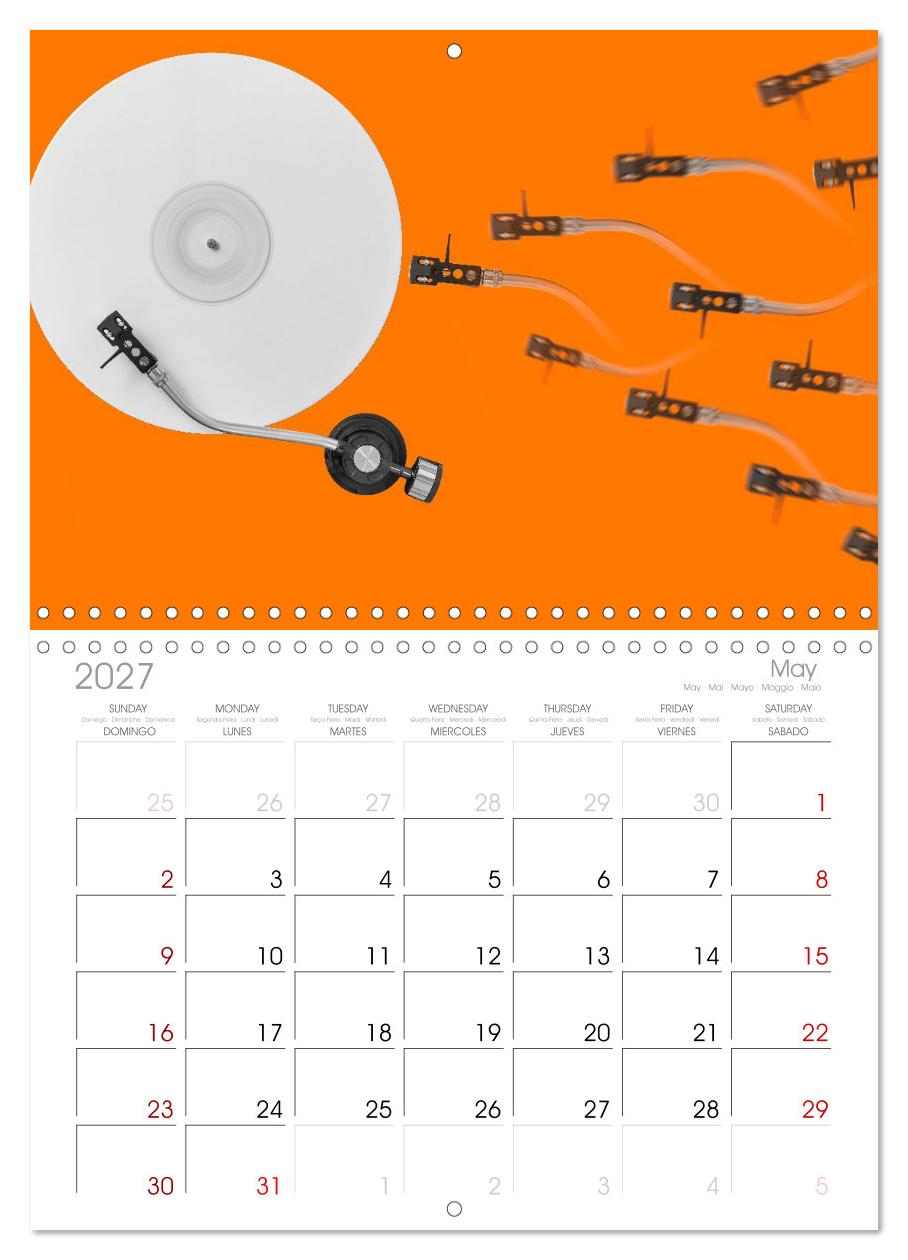Vinyl im Fokus