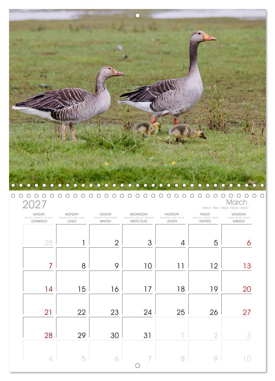 Halbinsel Eiderstedt - Momente der Natur