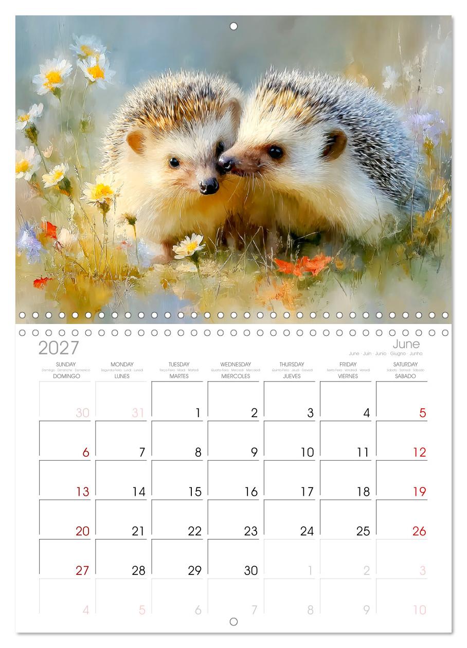 Igel. Kleine Glücksbringer im Garten