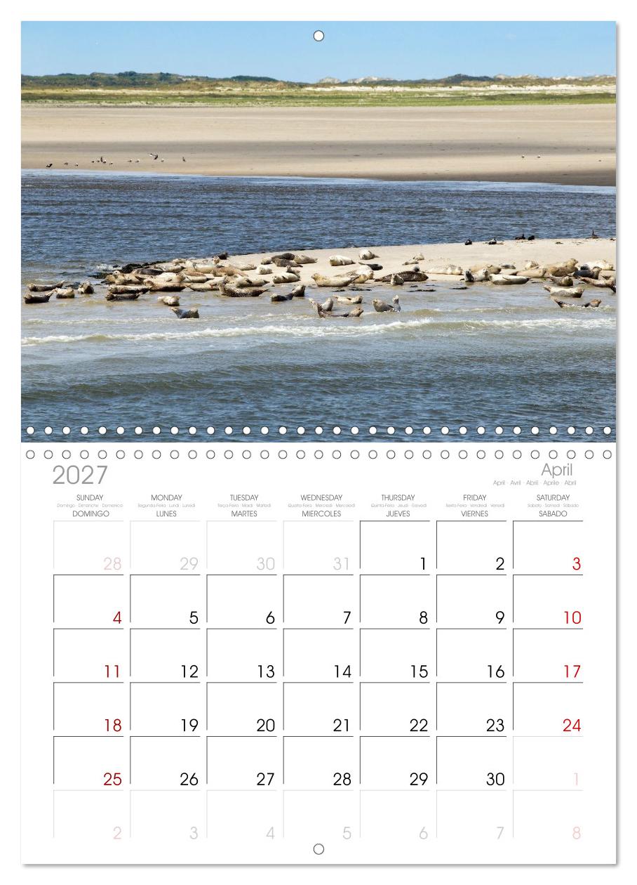 Borkum - Momente einer Reise