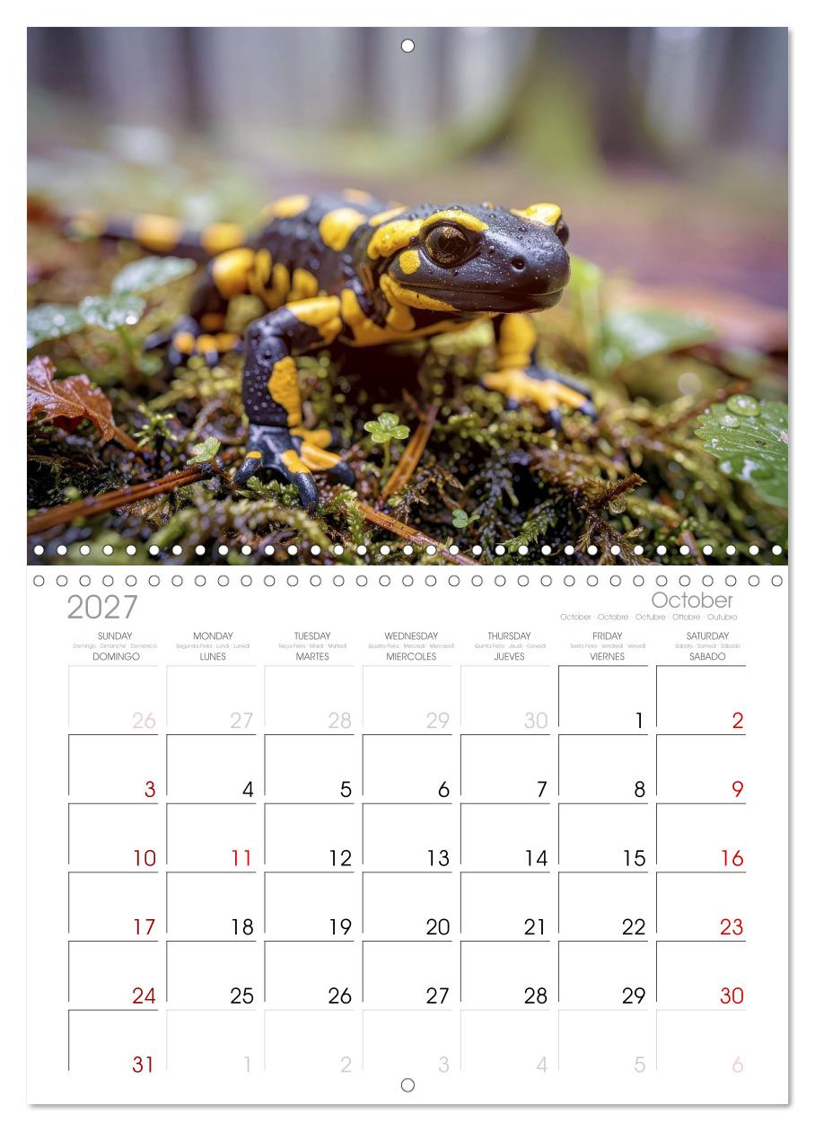 Feuersalamander – Juwel des Waldes