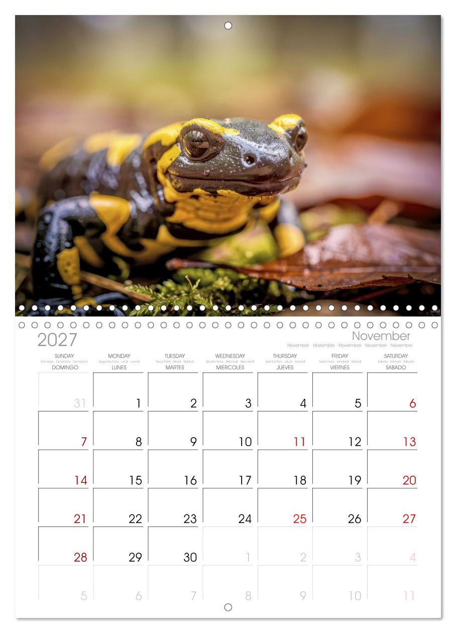 Feuersalamander – Juwel des Waldes