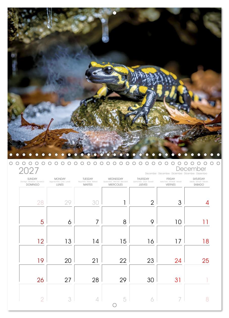 Feuersalamander – Juwel des Waldes
