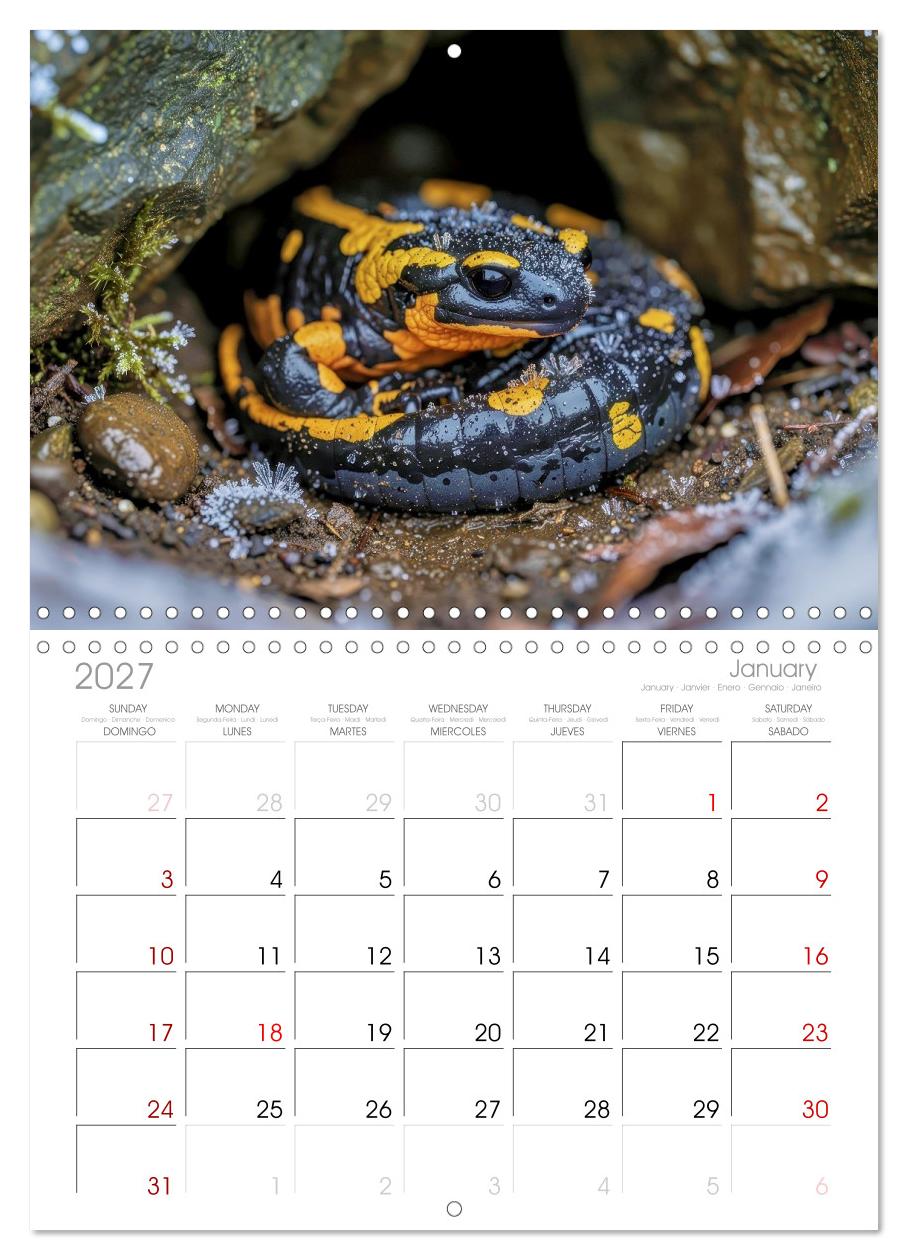 Feuersalamander – Juwel des Waldes