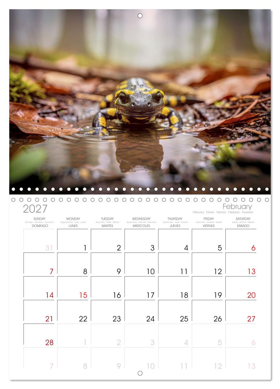 Feuersalamander – Juwel des Waldes