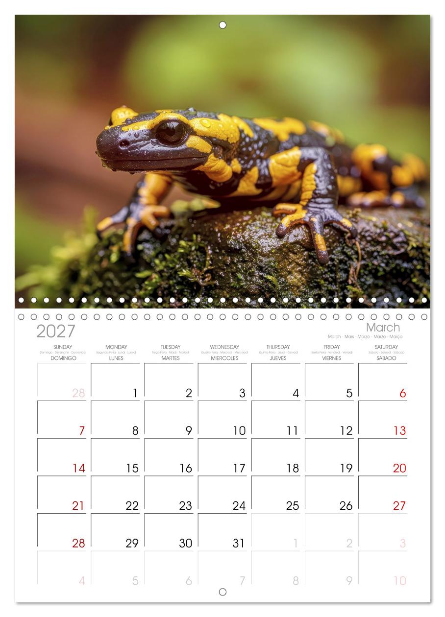 Feuersalamander – Juwel des Waldes