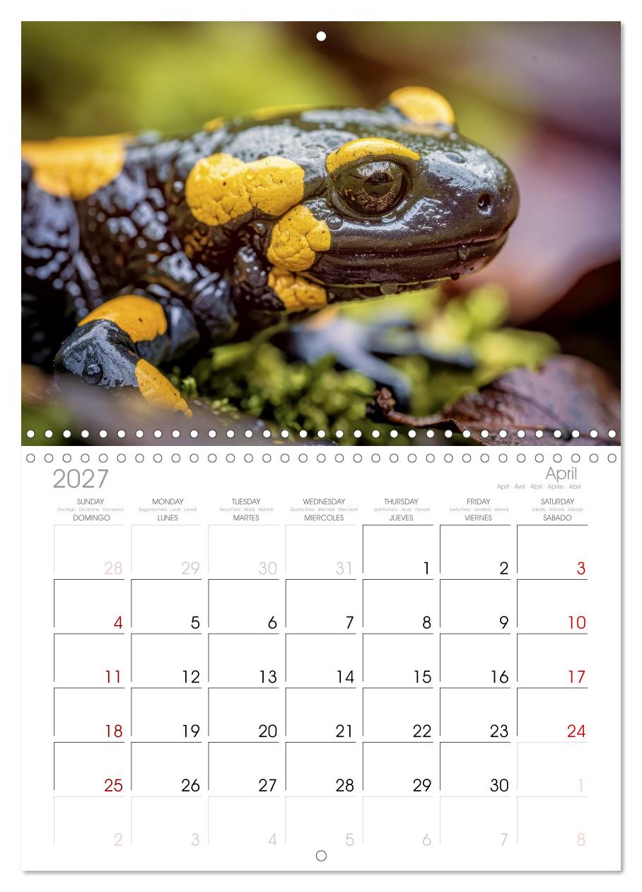 Feuersalamander – Juwel des Waldes