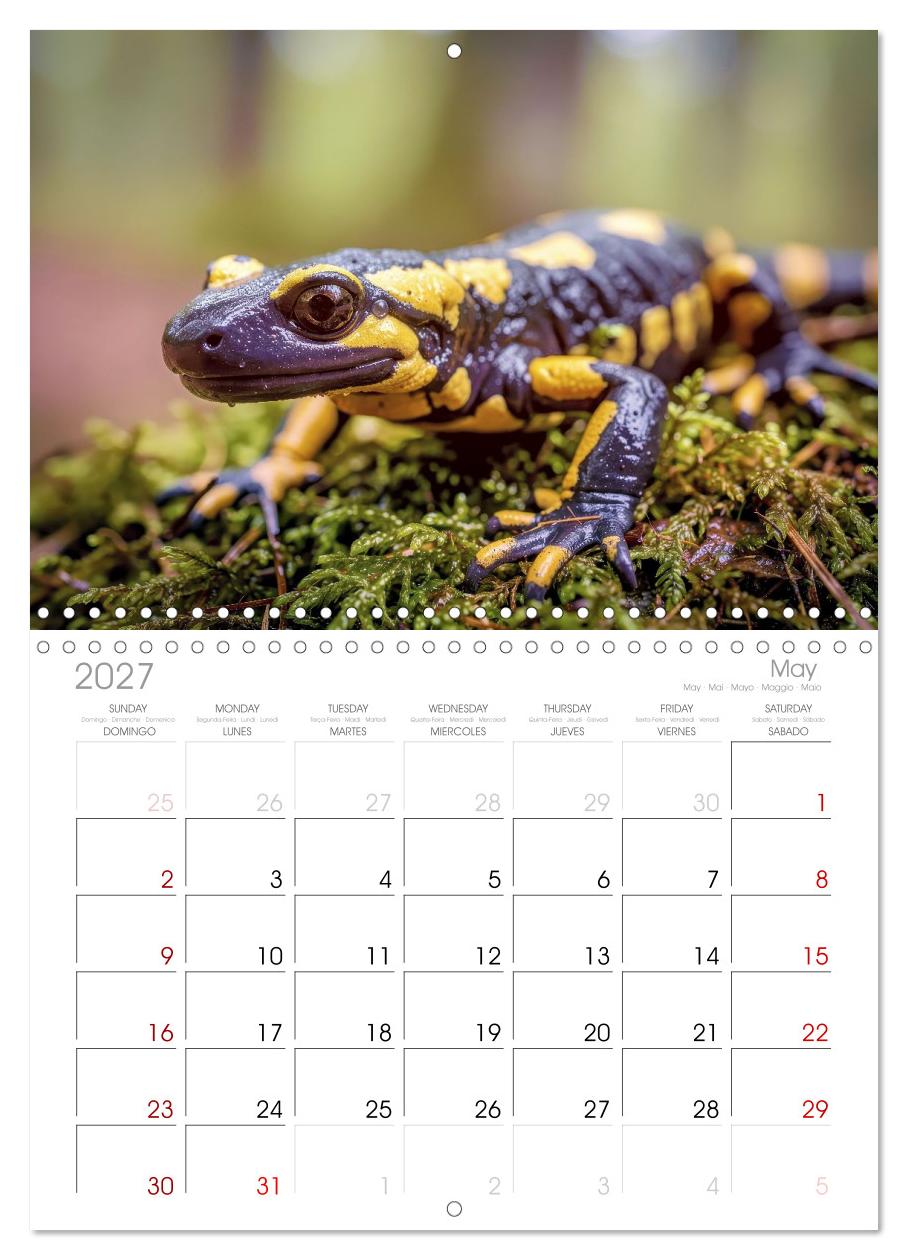 Feuersalamander – Juwel des Waldes