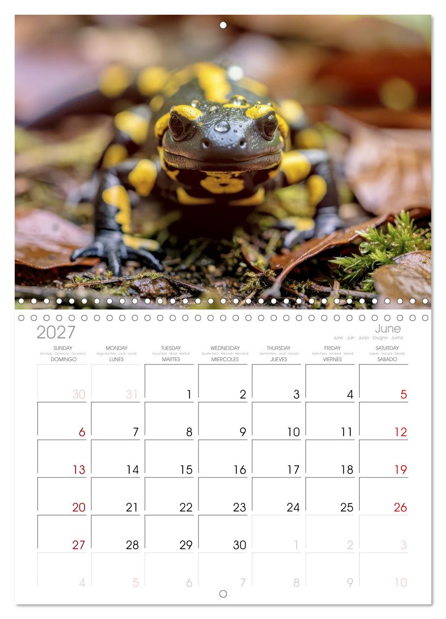 Feuersalamander – Juwel des Waldes