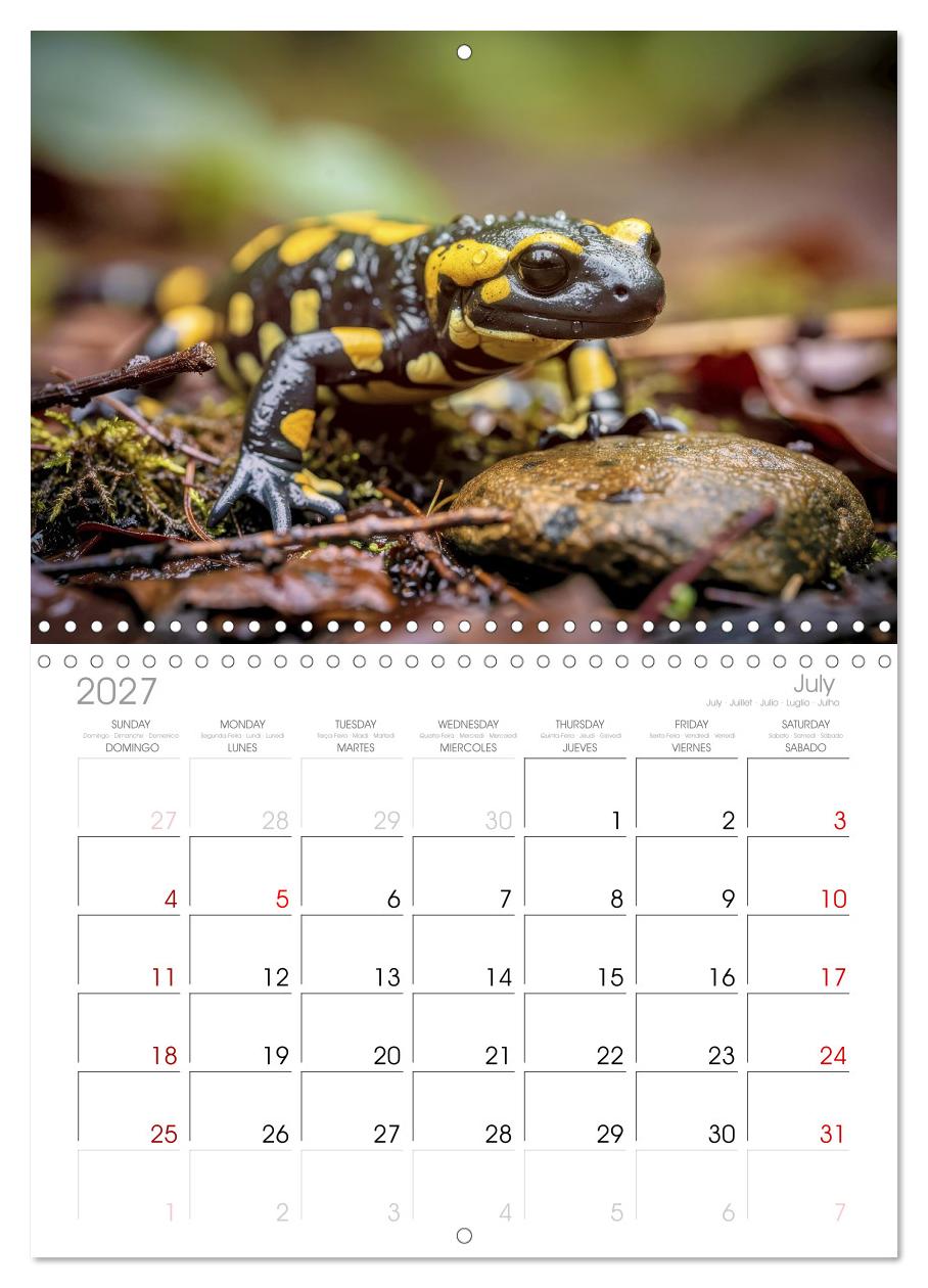 Feuersalamander – Juwel des Waldes