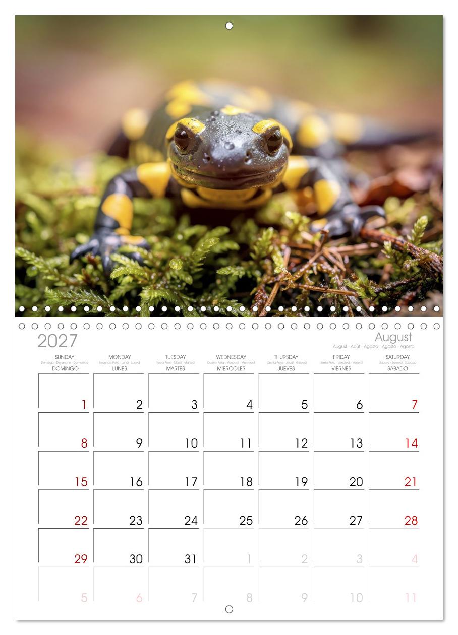 Feuersalamander – Juwel des Waldes