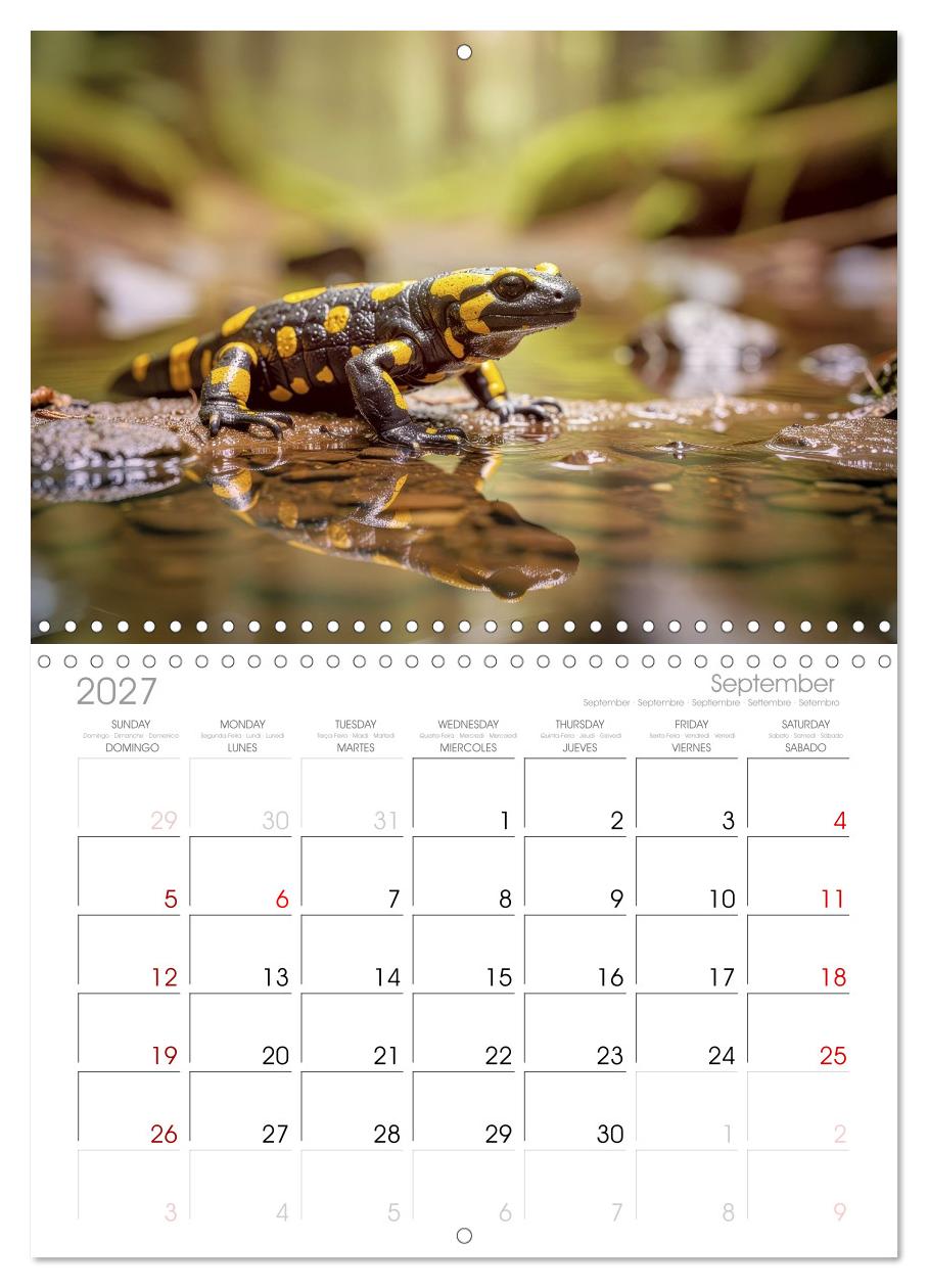 Feuersalamander – Juwel des Waldes